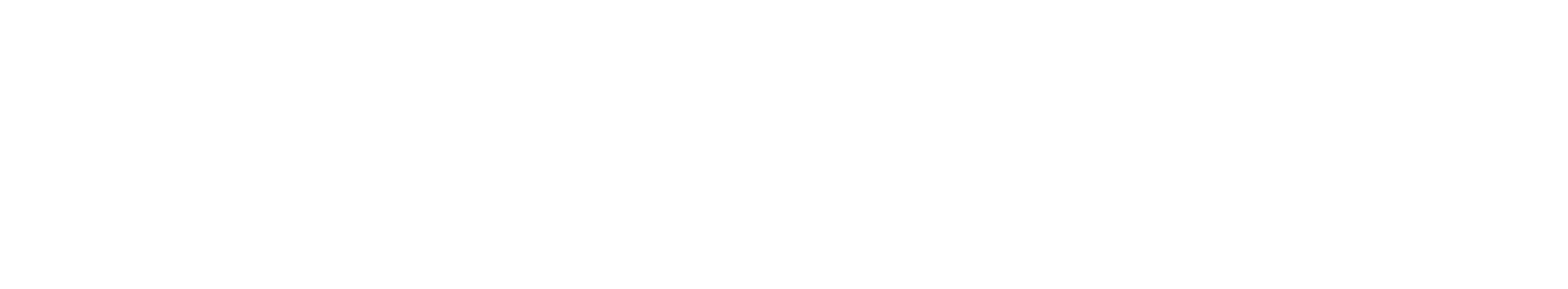 footerLogo